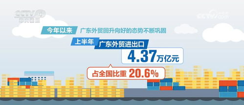 4.2万亿元创纪录 粤港澳大湾区内地九市外贸的跃升与破局