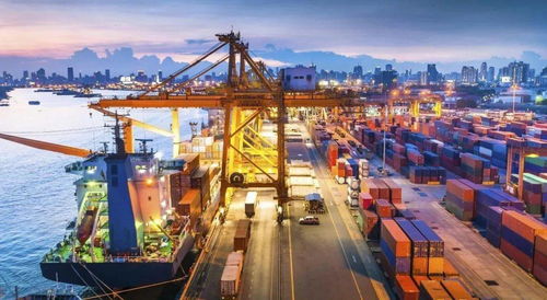 运价高烧不退，外贸企业成本压力下的生存博弈 国内贸易代理的困境与转型